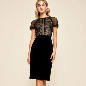 Tadashi Shoji - Lace Embroidered Sheath Cocktail Dress